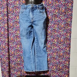 High Rise Vintage Cropped Flare Blue Denim Jeans